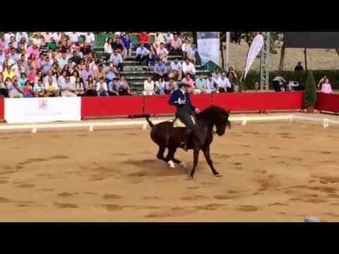 RAFAEL ARCOS GANADOR CAMPEONATO DE ESPAÑA DOMA VAQUERA 2014