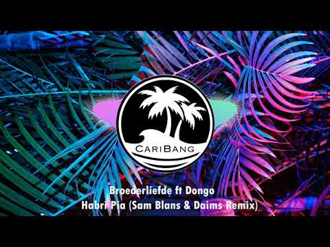 Broederliefde ft Dongo - Habri Pia (Sam Blans & Daims Remix)