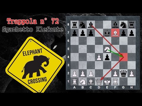 Opening Traps 72 - Chess - Elephant Trip - Elephant Gambit