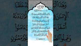Download lagu SURAH AT TIN | ALAA AQEL 🥀 Beautiful Recitation 😌🥰 #merdu #beautifulrecitation mp3 Download lagu SURAH AT TIN | ALAA AQEL 🥀 Beautiful Recitation 😌🥰 #merdu #beautifulrecitation mp3