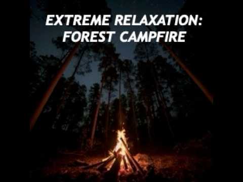 EXTREME RELAXATION: FOREST CAMPFIRE