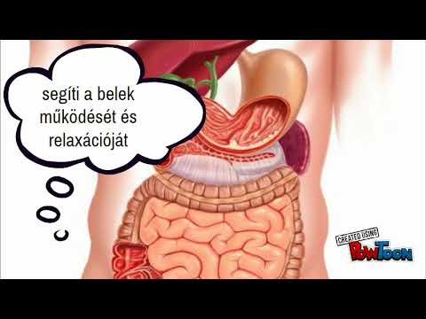 egyidejű immunitás a helmintusokban
