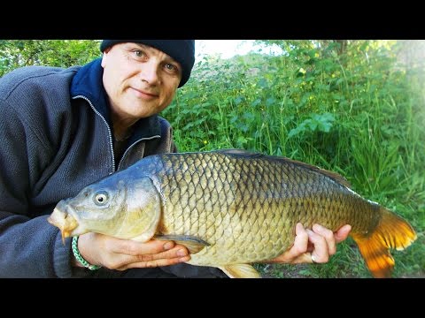 Short Evening Carp Session with Stewart