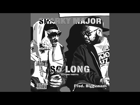 So Long (Stormin Tribute)