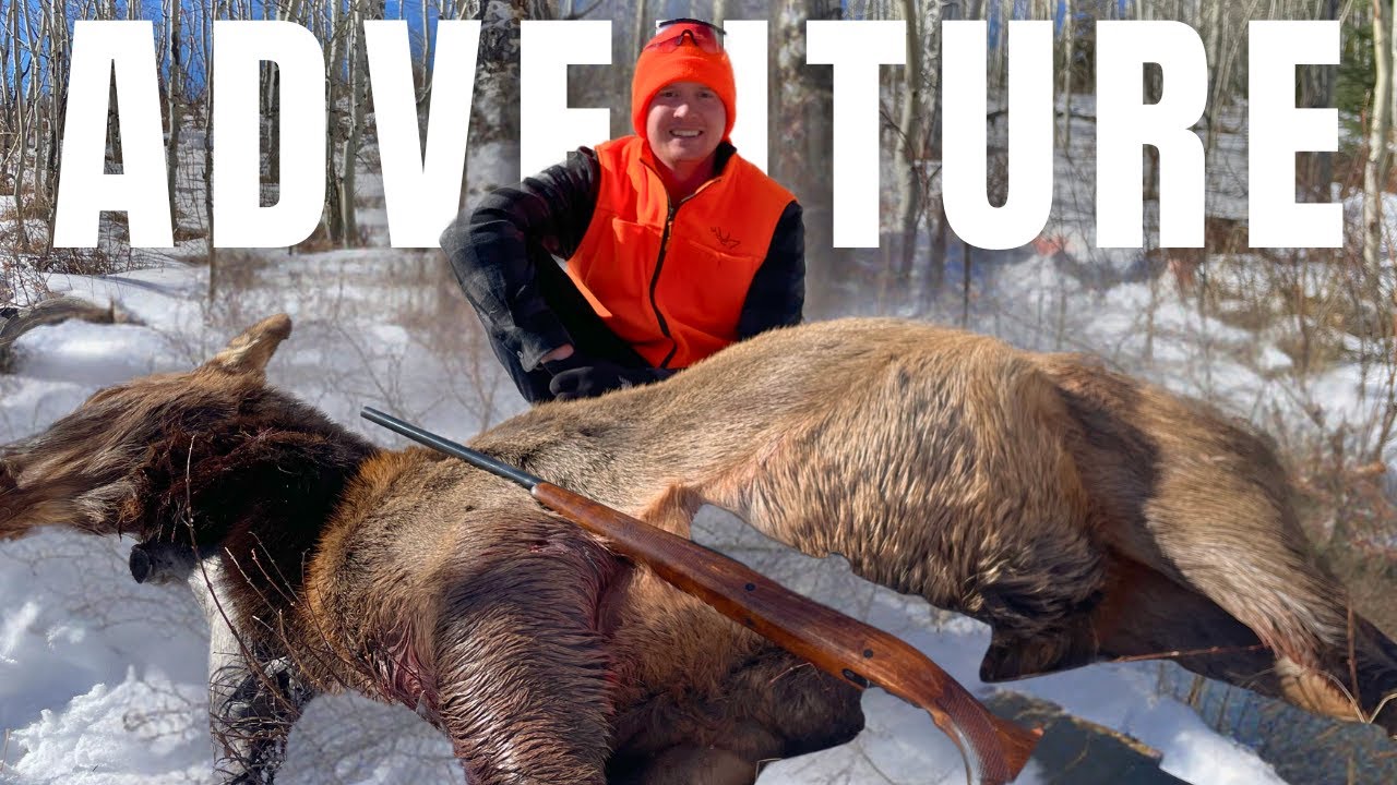 Hunting Elk for the Meat & Adventure (2024 Expanded Hunt)