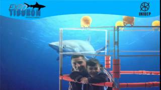 DIA 2 Expo Tiburon217