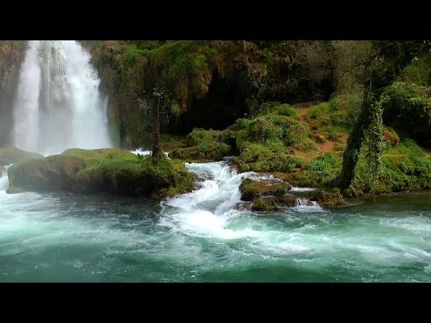 Musique Douce - Nature Meditation  - Musique de Relaxation