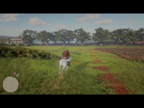 The course of true love II gold medal - Red dead redemption 2