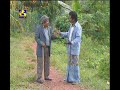 Dara Garage දර ගැරේජ් 1