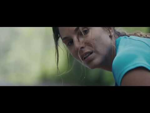 50 Years of AMG  The formula for success   Driving Performance