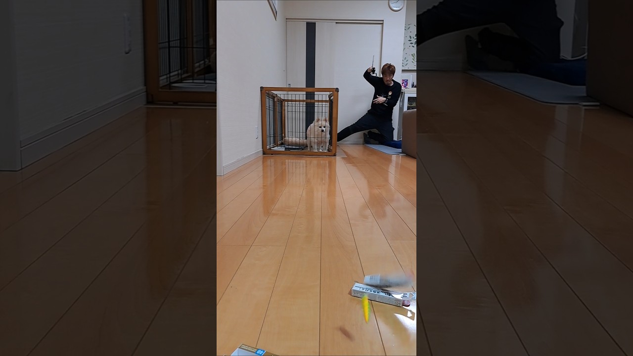 渓流ベイトフィネス❤️ #広島たにさんのぼれやびゃー動画 #fishing #バス釣り #釣り #pr #魚釣り #渓流釣り #渓流ルアー