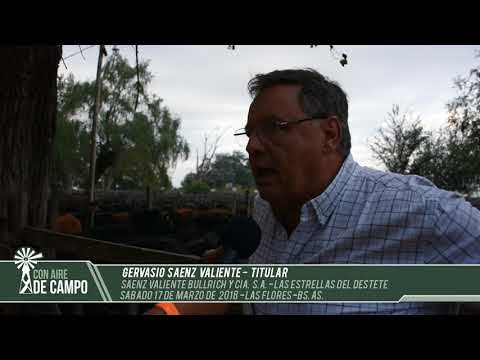 Gervasio Sáenz Valiente- Sáenz Valiente,Bullrich y Cía.Las Estrellas del Destete- Las Flores