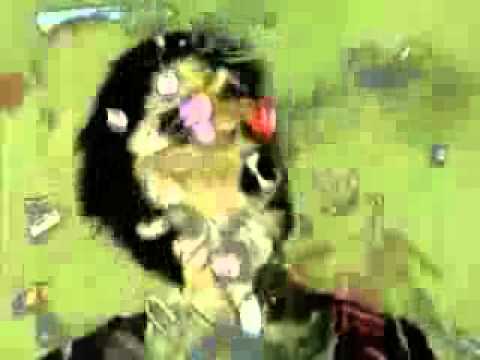 ACID!!!Dusty Kid The Cat