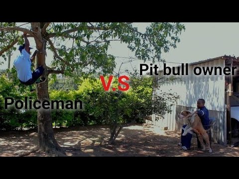 Arresting a pit bull owner went wrong.