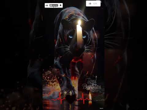 #aguaray #folklore #salta