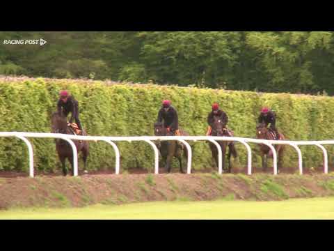 Investec Oaks & Coronation Cup: Aidan O'Brien