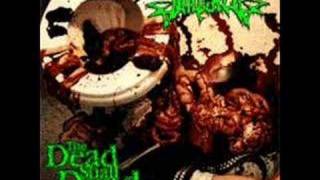 Impaled - 03 - Flesh & Blood