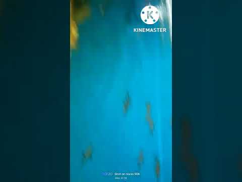 tunnel aquariam in anantapur.. @sowmika