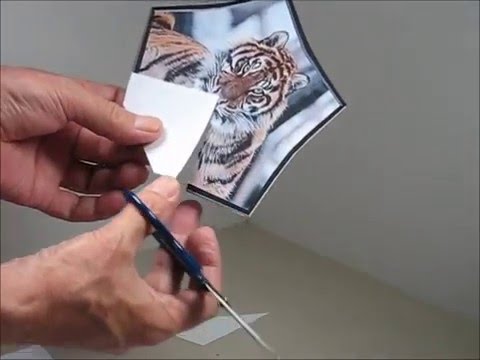 How To Assemble a Livelarge Bookshelf Pet Portrait Illusion