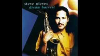 Steve Nieves - Wave Of The Future