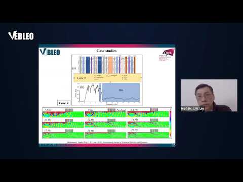City University of Hong Kong | Prof. Dr. C.W. Lim | Hong Kong | Lecture | #Vebleo