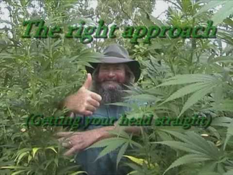 1 Grower's Lot by Kog