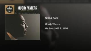 Still A Fool