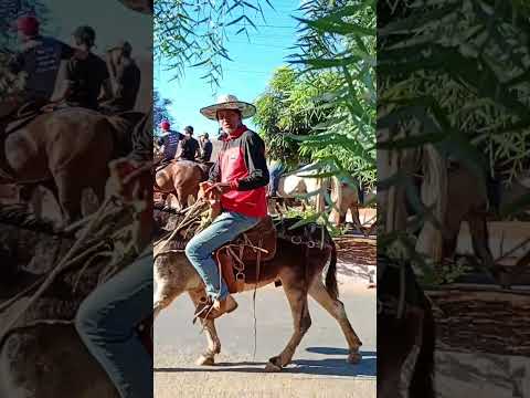 vaquejada na formosa barro alto Bahia 🏇🏻🏇🏻🐎🐎🐎🐎