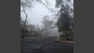 Cover art for recluse