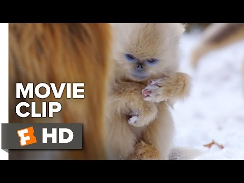 Born in China Movie Clip - Snow Cha-Cha (2017) | Movieclips Coming Soon