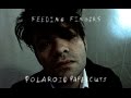 Feeding Fingers - Polaroid Papercuts - Official ...