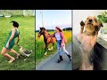 Funny ANIMALS videos 😂 Funniest CATS🐈 and DOGS🐕 2026 DEFAULT Thumbnail