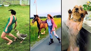Funny ANIMALS videos 😂 Funniest CATS🐈 and DOGS🐕 2026 MQDEFAULT Thumbnail