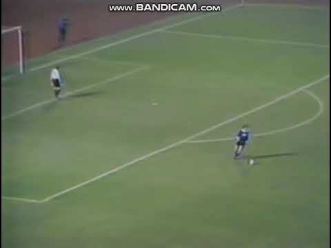 Hamburger SV - Dinamo Tbilisi. EC-1979/80 (3-1)