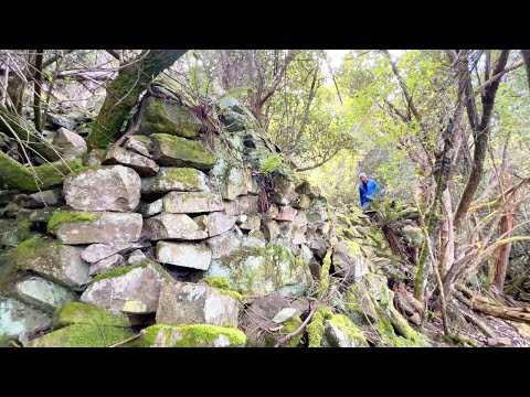 Re-Discovering the Lost Temple of Tasmania