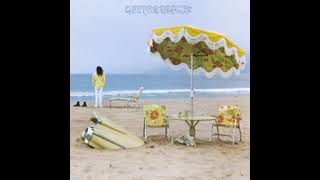 Neil Young   See the Sky About to Rain with Lyrics in Description