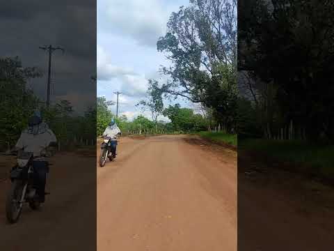 ✅Trocha Ganadera en el Municipio de San José del Guaviare. #Guaviaresinfiltros #guaviare