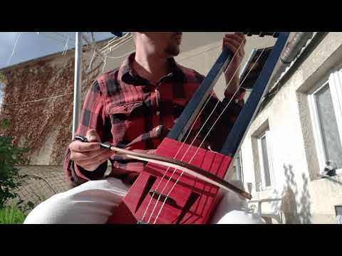 New Cello tagelharpa