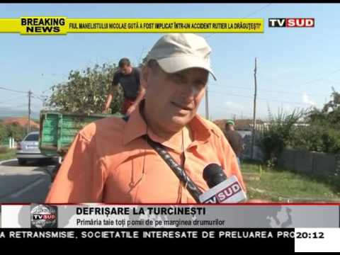 defrisare la turcinesti