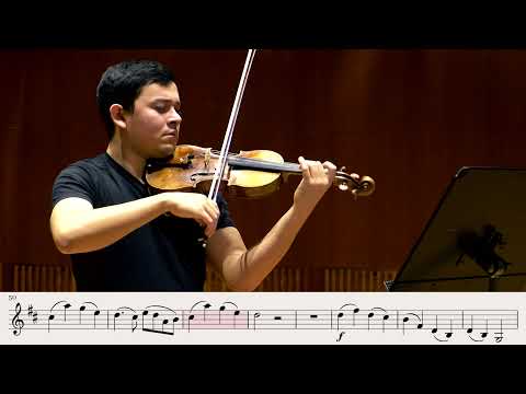 Rieding Violin Concerto B minor Op. 35 (1st Mov)