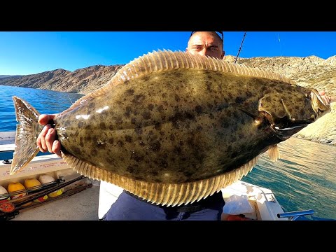 Catalina Island Fishing! (Halibut Catch, Clean and Cook)