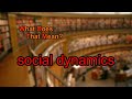 What Does Social Dynamics Mean
