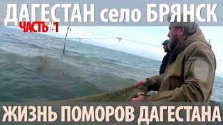Рыбалка в кизлярском районе дагестан
