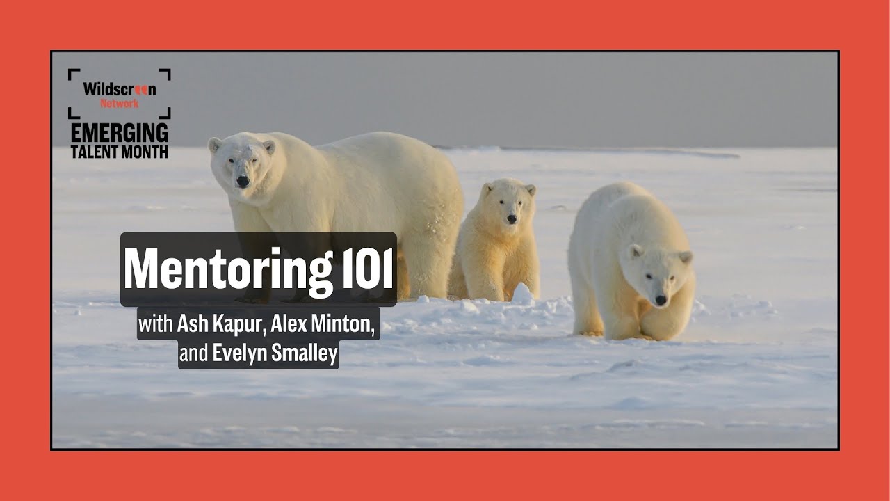 Mentoring 101 | Wildscreen Network Webinar