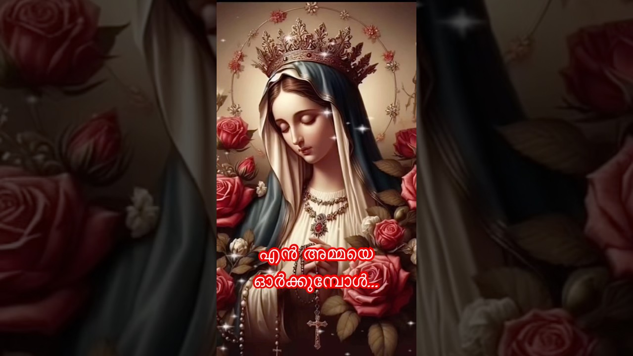 എന്‍ അമ്മയെ ഓര്‍ക്കുമ്പോള്‍ മാതാവേ…