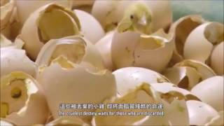 [問卦] 人生要怎麼認賠殺出？