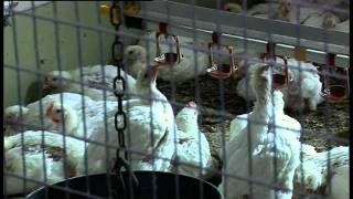 50 Jahre Forschung für die Praxis