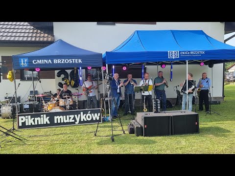ZESPOŁY - MIX V Piknik muzyków