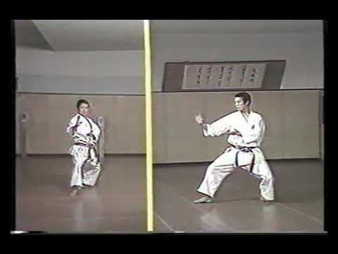 Kanku Dai (Kata & Bunkai)