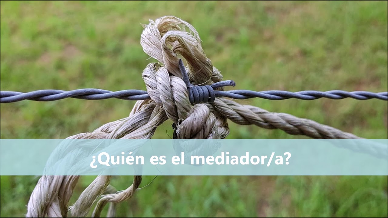 Begoña Diez Nieto-19